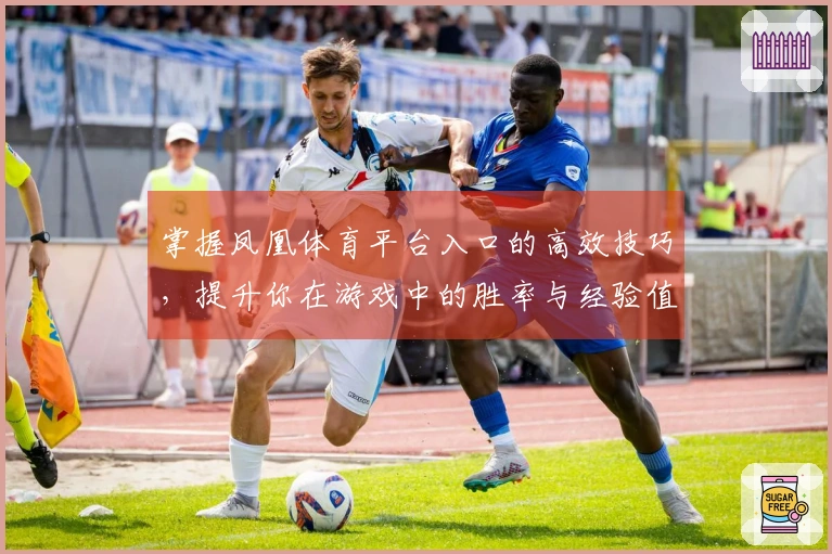 掌握凤凰体育平台入口的高效技巧，提升你在游戏中的胜率与经验值