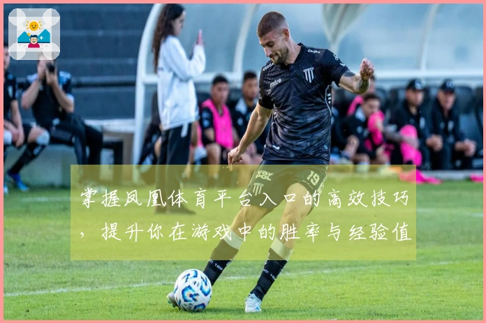 掌握凤凰体育平台入口的高效技巧，提升你在游戏中的胜率与经验值